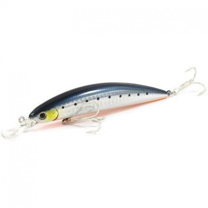 Воблер DAIWA SL SHINER CM 11SG KIWAMI IWASHI 6361 4960652680721 Воблер DAIWA SL SHINER CM 11SG KIWAMI IWASHI 6361 4960652680721